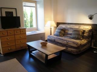 Appartement cosy au centre de Chamonix avec jardin, 2 pièces, bien équipé, accepte animaux - FR-1-507-29 - Chamonix - 9