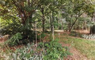 Nice Home In Selles-Sur-Cher With Wifi - 1