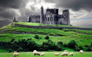 Baileys Hotel Cashel - Cashel - 8