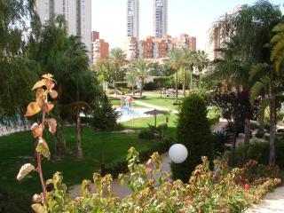 Gemelos 22 - Zand Properties - Benidorm - 3