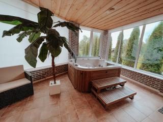 Near the lake apartment with hot tub and sauna - Tõrva - 1
