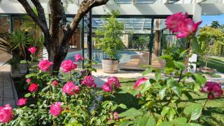 Mobile Fontana Oasis - Castelnuovo del Garda - 5