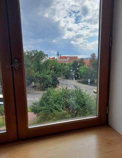 Riegrova - České Budějovice - 8