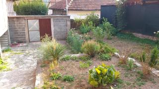 Apartman Hanija - Sarajevo - 5