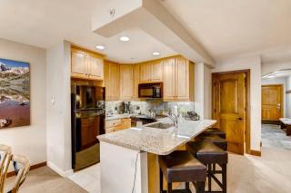 Ski in, Ski out 3 Bedroom Mountain Residence in the Heart of Lionshead Village with Heated Slope Side Pool and Hot Tub - Vail - 8