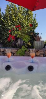 Campagne et Jacuzzi ... c'est cosy le Bumble Bee ! - Panossas - 8