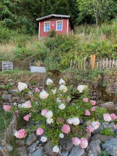 Ferienwohnung Matilde - Bad Grund - 0