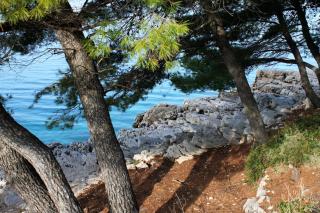 Apartments by the sea Cove Pokrivenik, Hvar - 5224 - Gdinj - 5