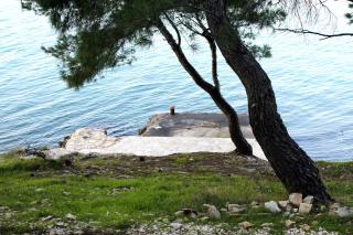 Seaside apartments with a swimming pool Okrug Donji, Ciovo - 5244 - Okrug Donji - 7