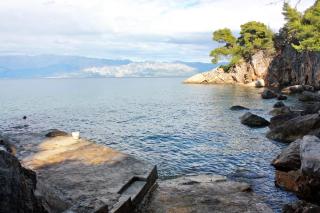 Seaside secluded apartments Cove Zavala - Gdinj, Hvar - 5717 - 6