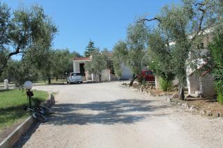 Tenuta Montincello - 8