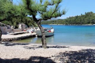 Seaside secluded apartments Cove Karkavac - Scedro, Hvar - 8801 - 5