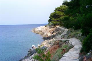 Apartments by the sea Mudri Dolac, Hvar - 595 - Vrbanj - 5