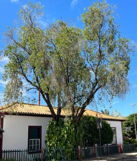 Pousada Travessia - Minas Gerais - Três Pontas - 4