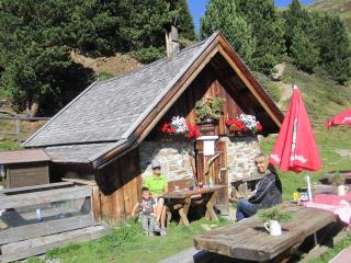 Alpenapart Walch - Jerzens - 1