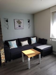 Appartement Au Cigogneau Wifi-Netflix-Balcon-Parking - Munster - 6