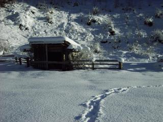 Alpenapart Walch - 8