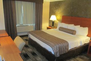 Best Western Inn at the Rochester Airport - Rochester - 7