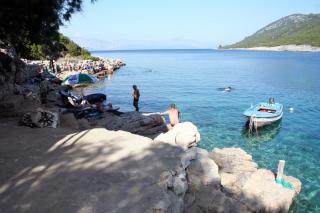 Apartments by the sea Cove Zarace - Gdinj, Hvar - 4598 - Gdinj - 7