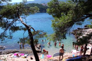 Seaside apartments with a swimming pool Jelsa, Hvar - 2067 - Jelsa (Gelsa) - 5