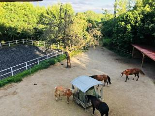 Zauberhafte Ferienscheune im Hofgut Alte Ölmühle - Engen - 4