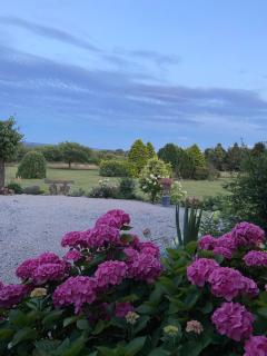 Ticketyboo Suites - 5