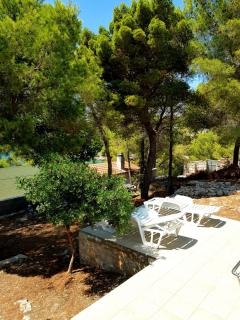 Studio apartment Under the pine - Milna - 0