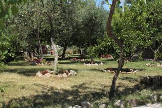 Studio Sucuraj 6852a - Sućuraj - 3