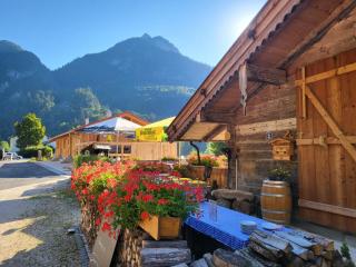 Nickis Bergcamp - Schneizlreuth - 0