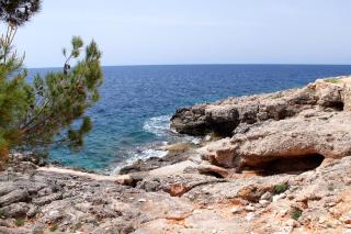 Apartments by the sea Sveta Nedilja, Hvar - 11433 - Sveta Nedelja - 5