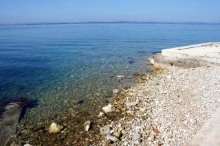 Apartments by the sea Petrcane, Zadar - 17342 - Petrcane - 7