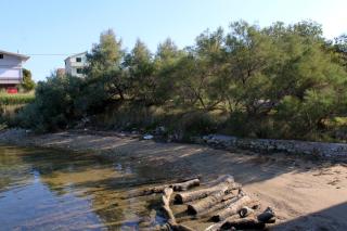 Family-friendly apartments with swimming pool Nevidjane, Pasman - 18054 - 5