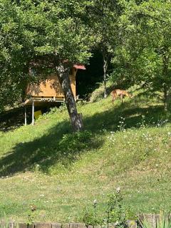 Sun House - Trjavna - 1