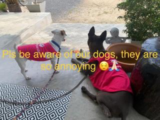 Phangan Hometown Resort - Adults Only - 3