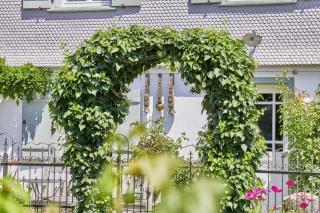 Appartement - Wangen im Allgäu - 7