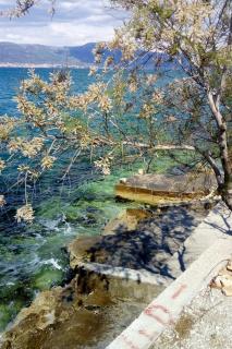 Apartments by the sea Arbanija, Ciovo - 19456 - 8