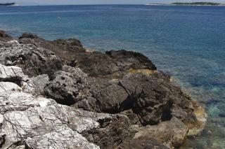 Apartments by the sea Milna, Vis - 2461 - 5