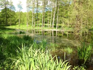 Goldschmiedsmühle - 5