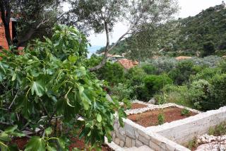 Apartments by the sea Prozurska Luka, Mljet - 4940 - Prožura - 5