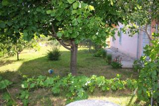 Apartments with a parking space Kampor, Rab - 5029 - Kampor - 2