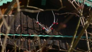 Ferienwohnung Wagnerhaus - 2