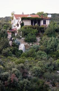 Apartments with a parking space Maslinica, Solta - 5176 - Maslinica - 8