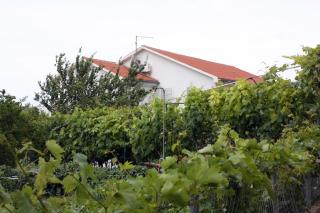 Apartments with parking space Kampor, Rab - 5018 - 8