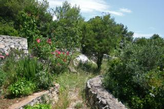 Apartments by the sea Tisno, Murter - 5142 - Tisno - 2