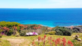 Maison 4 pièces, vue panoramique, piscine, climatisation, près de Palombaggia - Porto Vecchio - 9