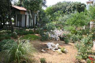 Apartments by the sea Mandre, Pag - 6518 - Mandre - 4