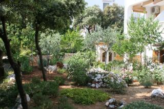 Apartments by the sea Mandre, Pag - 6518 - 3