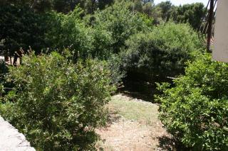 Apartments by the sea Zaostrog, Makarska - 6799 - Podaca - 3