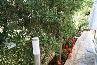 Apartments by the sea Mandre, Pag - 6515 - Kolan - 2