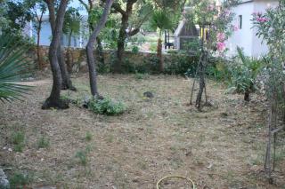 Apartments by the sea Mandre, Pag - 6545 - 4